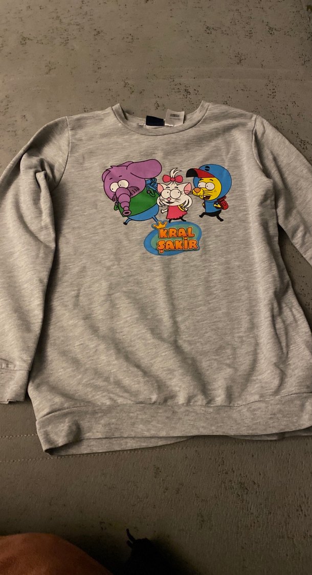 Kız Çocuk Gri Baskılı Uzun Kollu Sweatshirt - Görsel 3