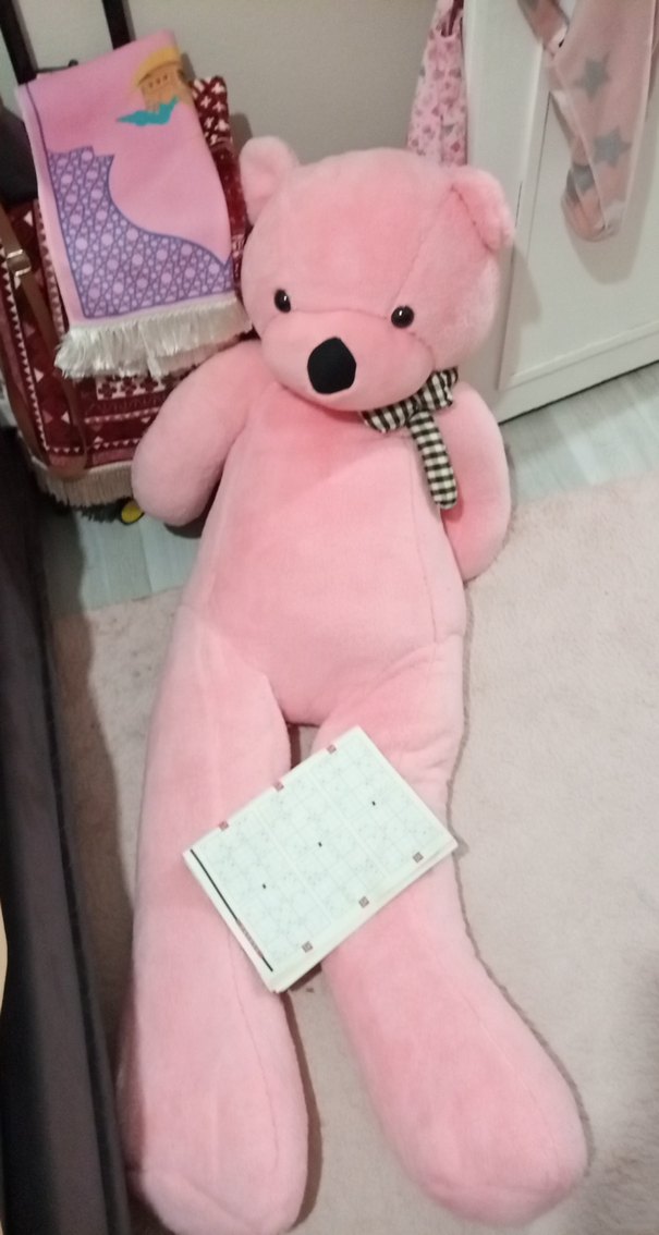 Pastel Pembe Peluş Ayıcık Oyuncak - Görsel 3