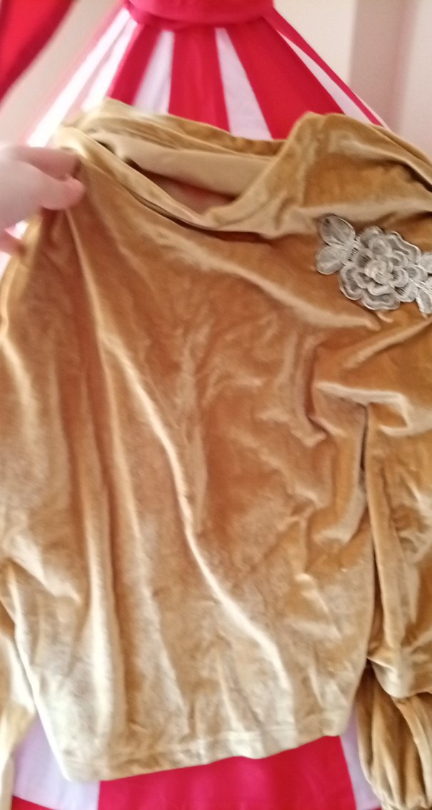 kadife Nakışlı Bej Bluzu - Görsel 2