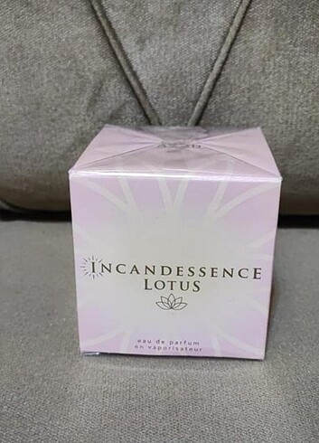 İncandessence lotus