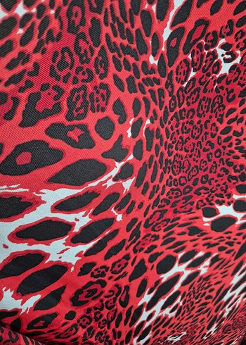 Kırmızı Desenli paleo - Görsel 2