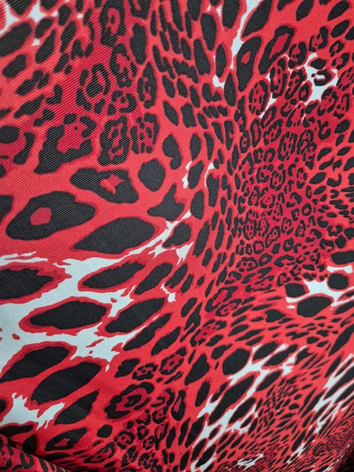 Kırmızı Desenli paleo - Görsel 2