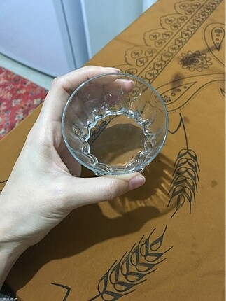  Beden Bardak