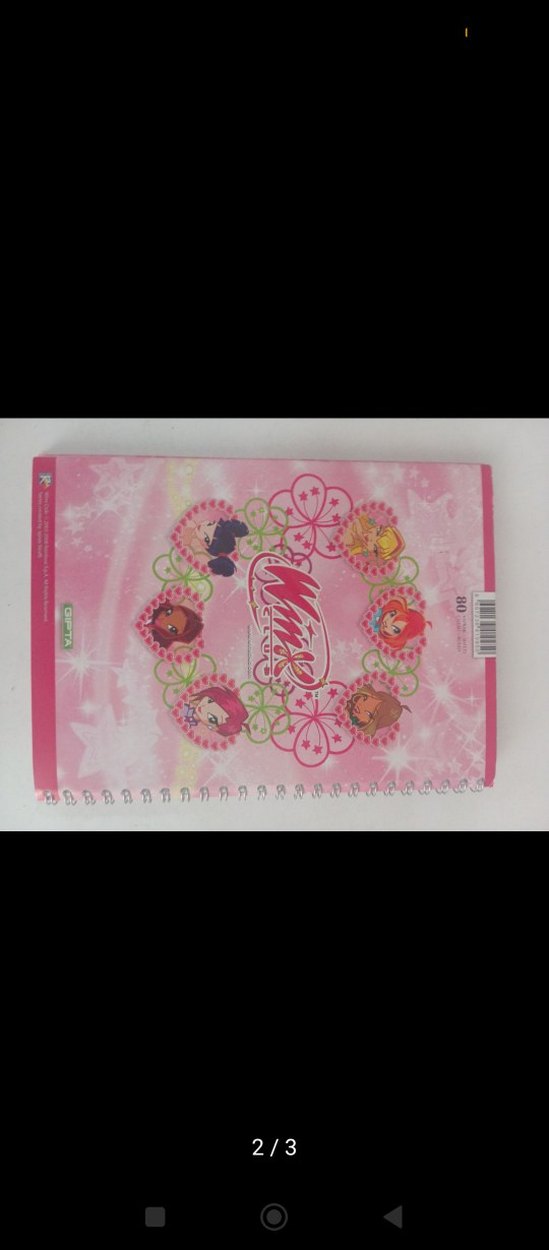 Pembe Winx Defter - Görsel 2