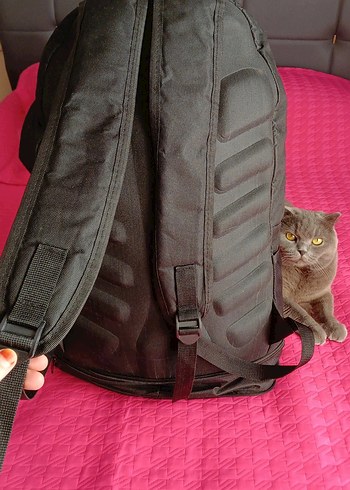 Tokalı Siyah Erkek Sırt Çantası - Görsel 5