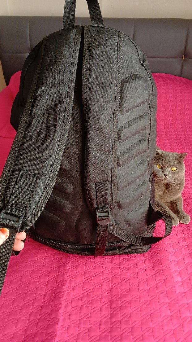 Tokalı Siyah Erkek Sırt Çantası - Görsel 5