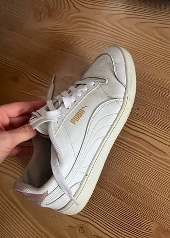 Puma 39