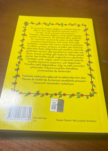 Prenses ile Goblin - Orijinal Çeviri Kitabı - Görsel 4
