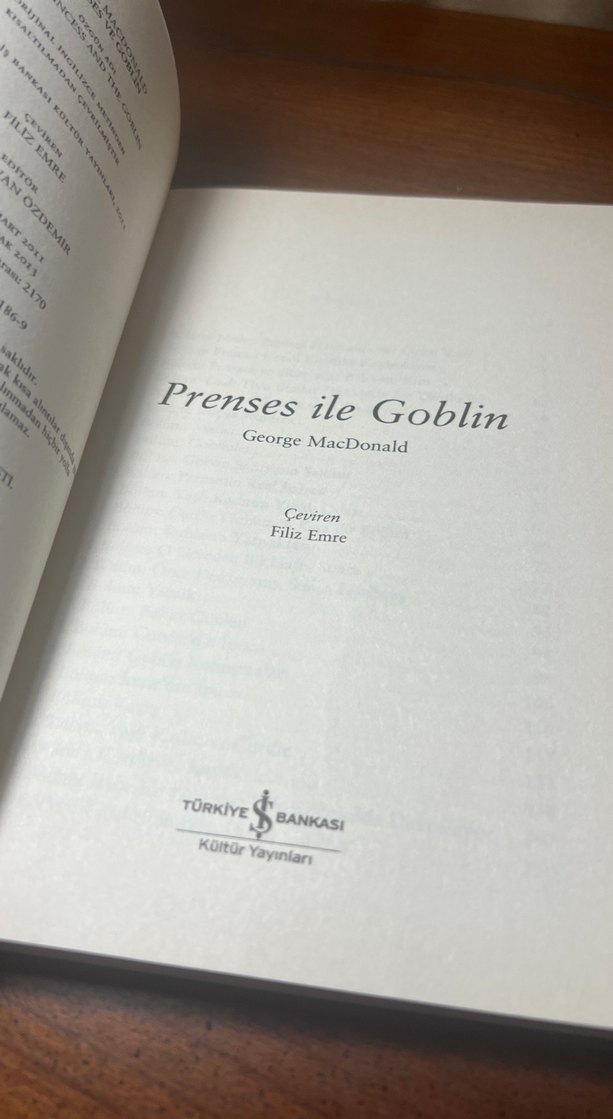 Prenses ile Goblin - Orijinal Çeviri Kitabı - Görsel 3