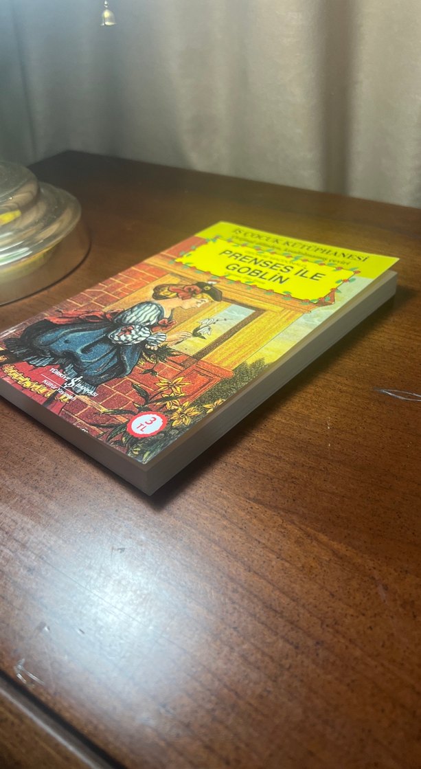 Prenses ile Goblin - Orijinal Çeviri Kitabı - Görsel 2