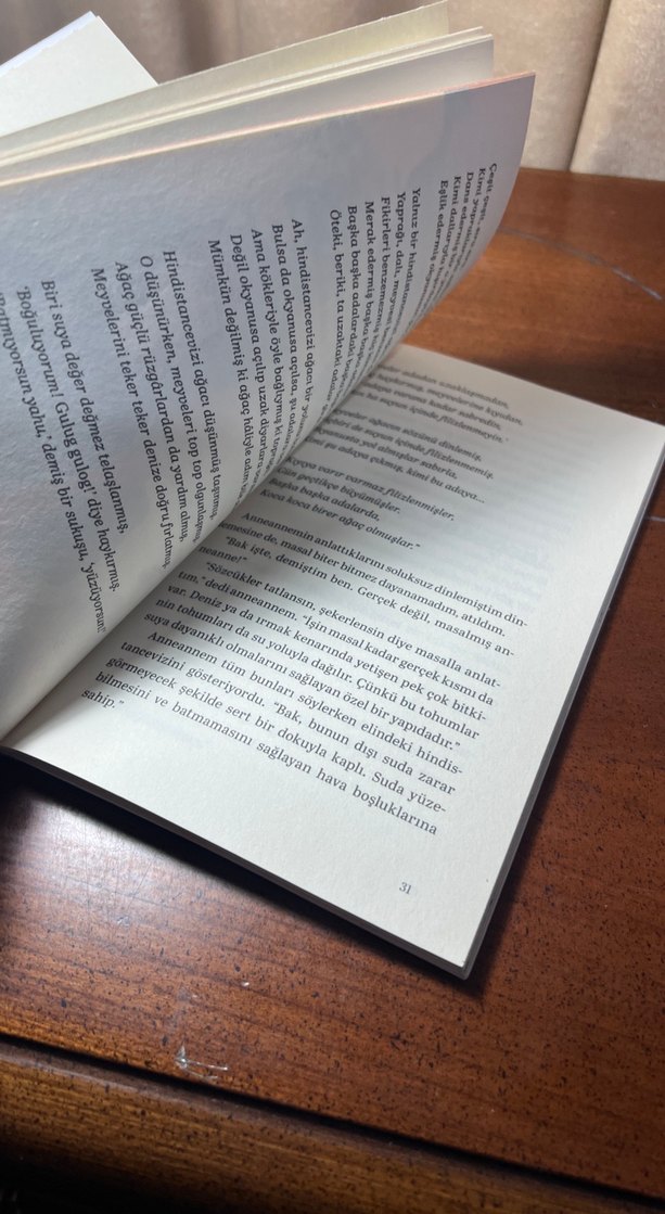 Ay Tavşanı, Dedem ve Ben - Koray Avcı Çakman - Görsel 5