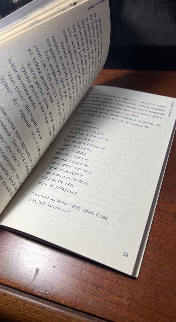 Uçan Ev - Claude Roy - Görsel 3