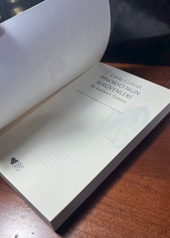 Pinokyo'nun Serüvenleri - Carlo Collodi - Görsel 3