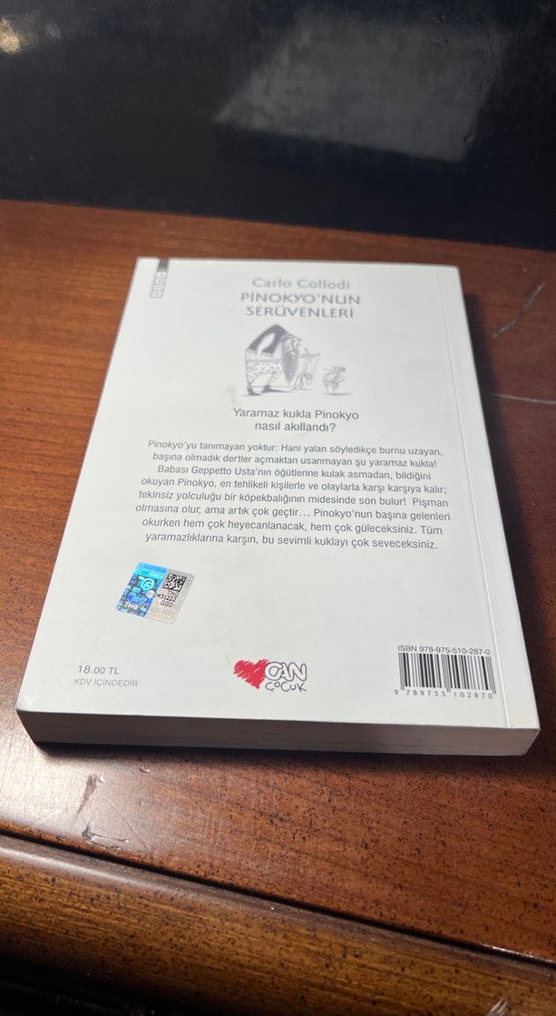 Pinokyo'nun Serüvenleri - Carlo Collodi - Görsel 4