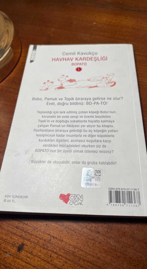 Havhav Kardeşliği - Cemil Kavukçu - Görsel 4