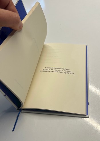 Orhan Veli Şiirler Kitabı - Görsel 3