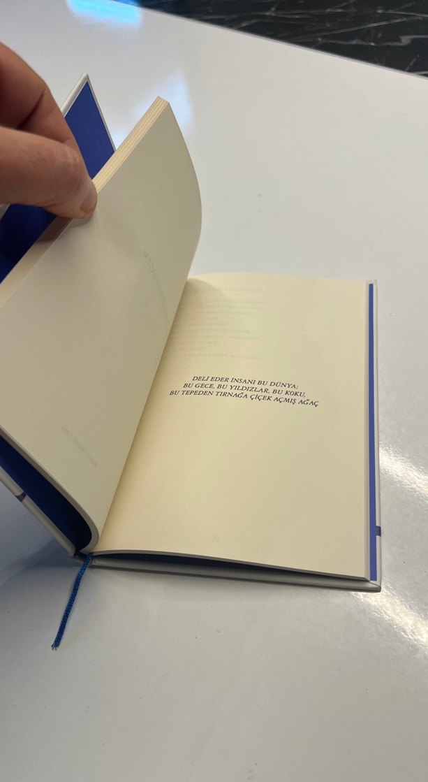 Orhan Veli Şiirler Kitabı - Görsel 3