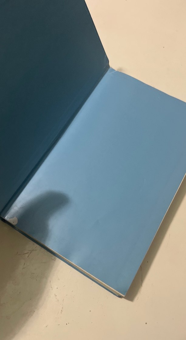 Saftirik Greg'in Günlüğü: Panik Yok! - Görsel 3