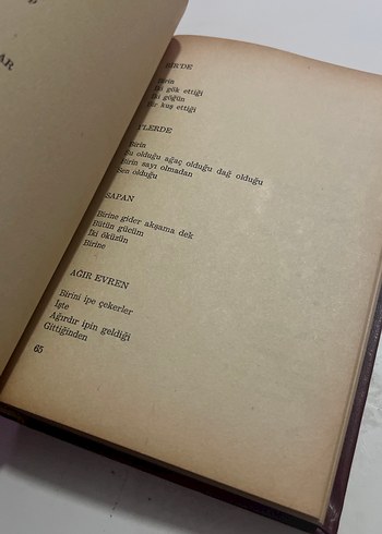 Fazıl hüsnü dağlarca - 2 kitap asu&haydi - Görsel 4