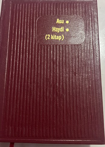 Fazıl hüsnü dağlarca - 2 kitap asu&haydi - Görsel 2