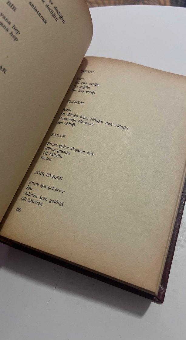 Fazıl hüsnü dağlarca - 2 kitap asu&haydi - Görsel 4