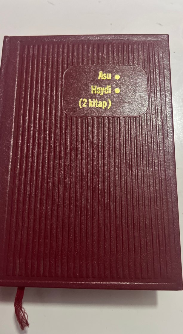 Fazıl hüsnü dağlarca - 2 kitap asu&haydi - Görsel 2