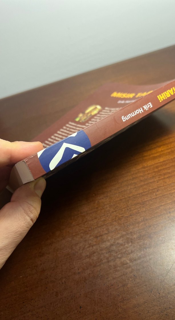 Mısır Tarihi - Erik Hornung - Görsel 3