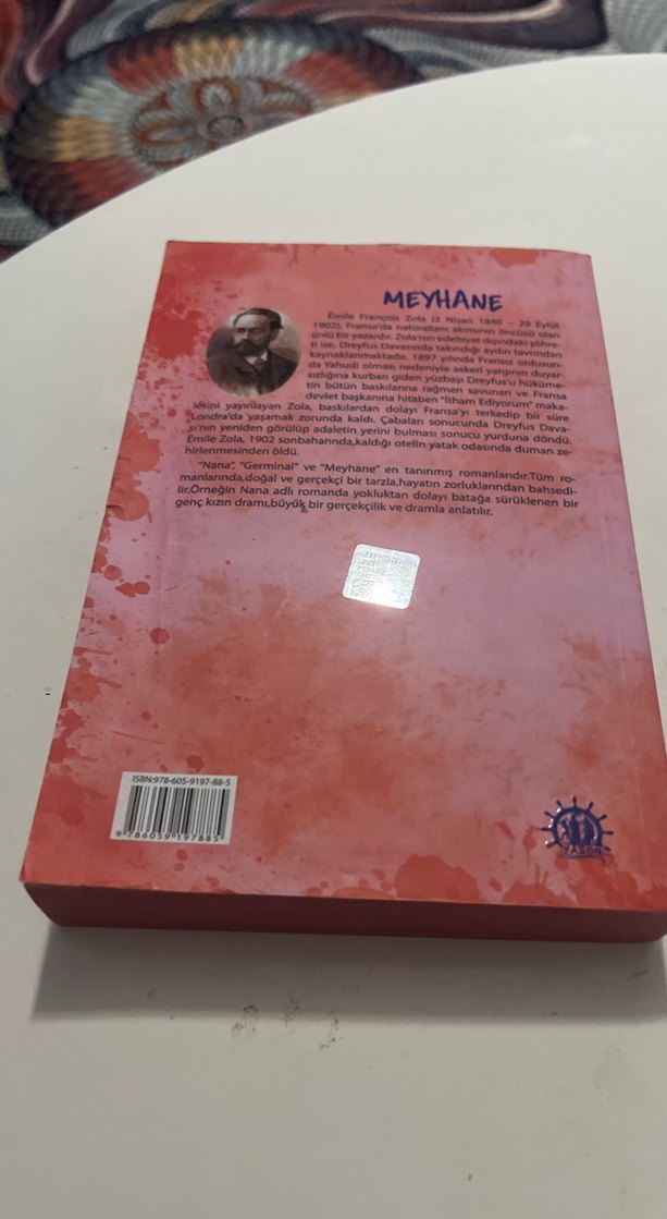 Meyhane - Emile Zola - Görsel 4