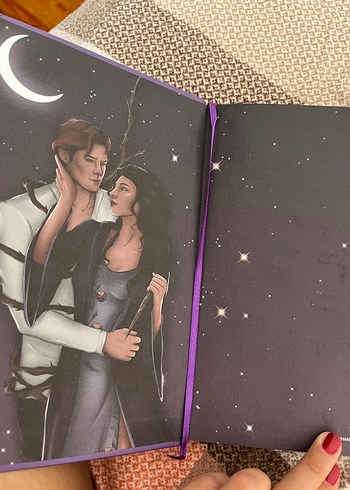 Kılıç ve Kalp Desenli kitap adı :violet dikenlerin menekşesi - Görsel 4