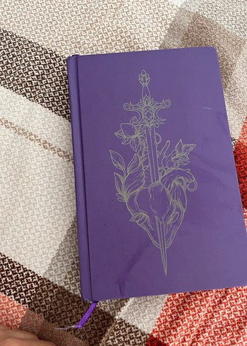 Kılıç ve Kalp Desenli kitap adı :violet dikenlerin menekşesi - Görsel 7