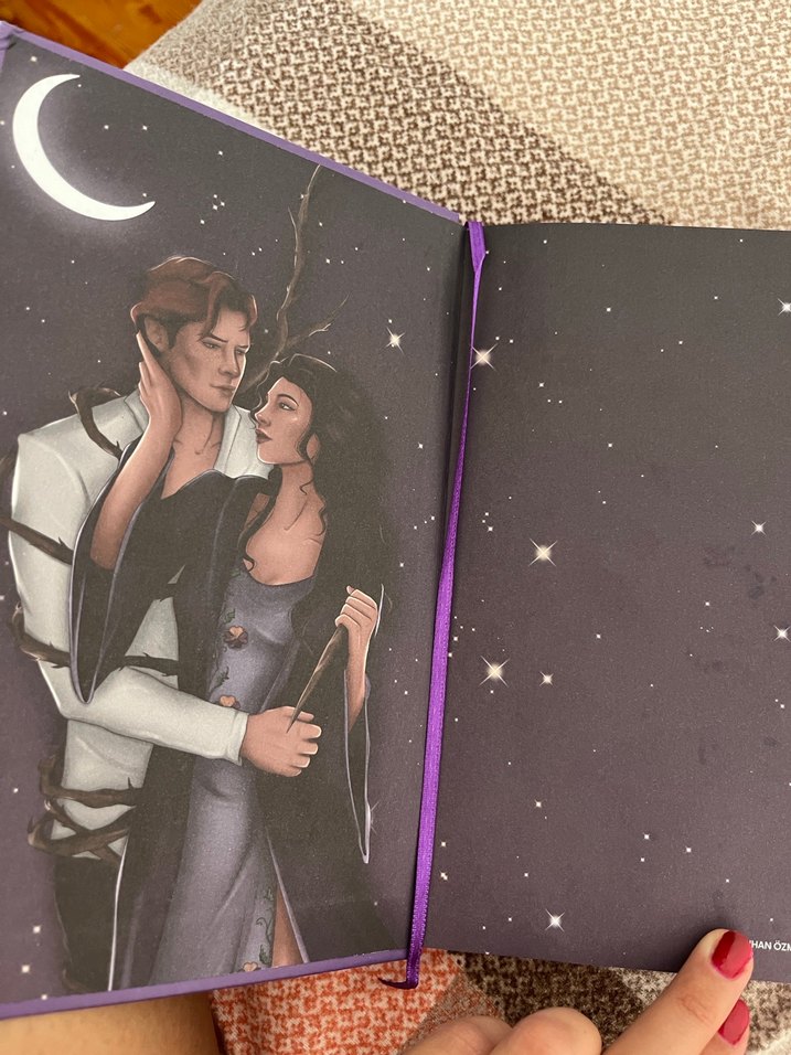 Kılıç ve Kalp Desenli kitap adı :violet dikenlerin menekşesi - Görsel 4