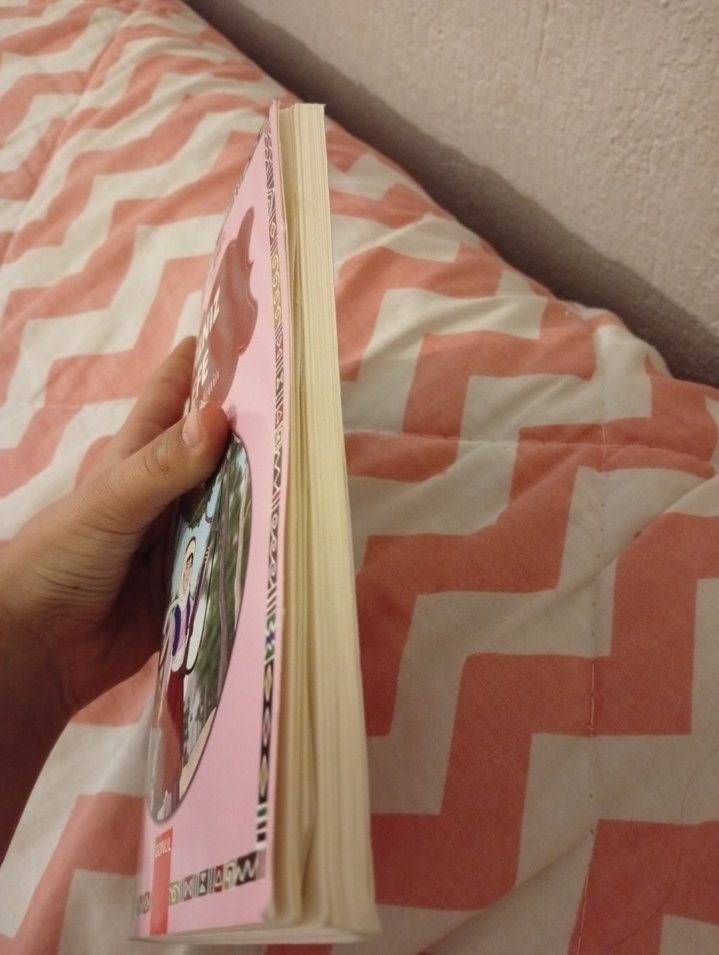 Yalnız Efe - Ömer Seyfettin - Görsel 3