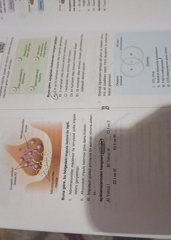  AYT Biyoloji Branş Denemeleri Kitabı