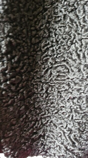 Gerçek angarya kürk - Görsel 15