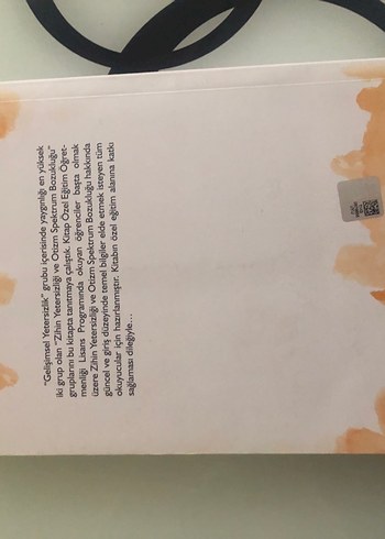 ZİHİN YETERSİZLİĞİ VE OTİZM SPEKTRUM BOZUKLUĞU - Görsel 2