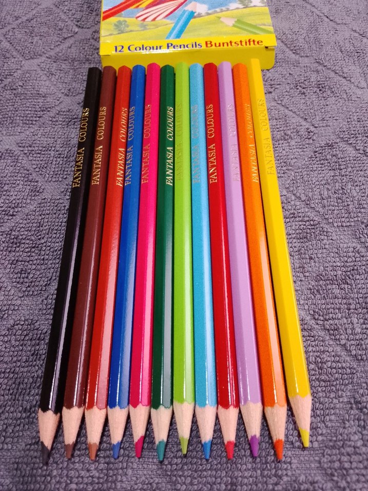 FANTASIA 12 adet büyük boy kuru boya - Görsel 3