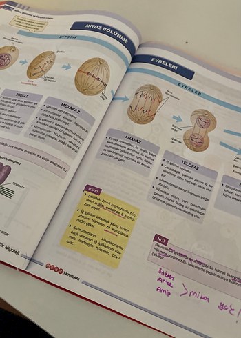 Beden Analitik YKS Biyoloji Konu Anlatımı Kitabı
