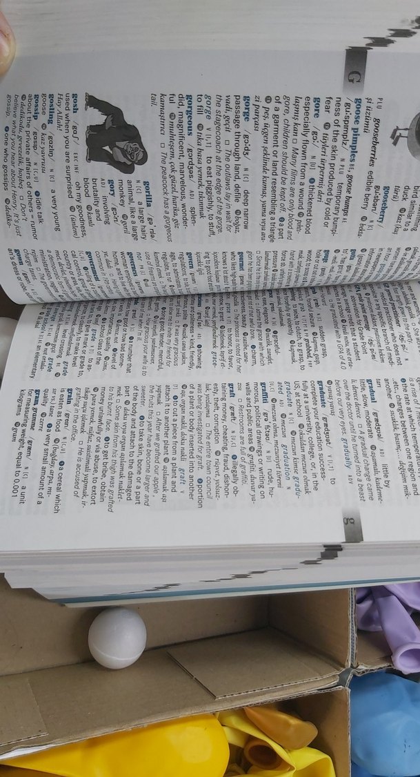 Key Dictionary Orta Seviye İngilizce Öğrenenler İçin - Görsel 3