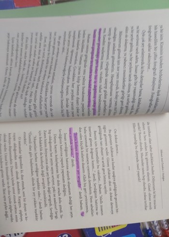 Fesleğen - Hikmet Anıl Öztekin - Görsel 4