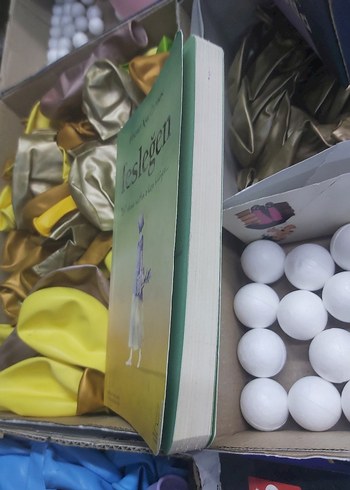 Fesleğen - Hikmet Anıl Öztekin - Görsel 8