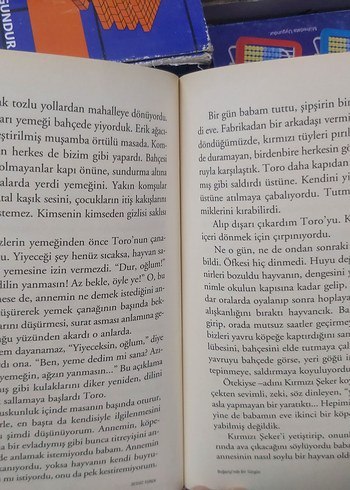 Sessiz Yürek - Necati Güngör Öykü Kitabı - Görsel 6