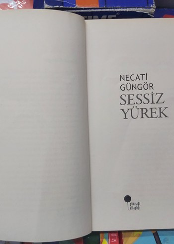Sessiz Yürek - Necati Güngör Öykü Kitabı - Görsel 2