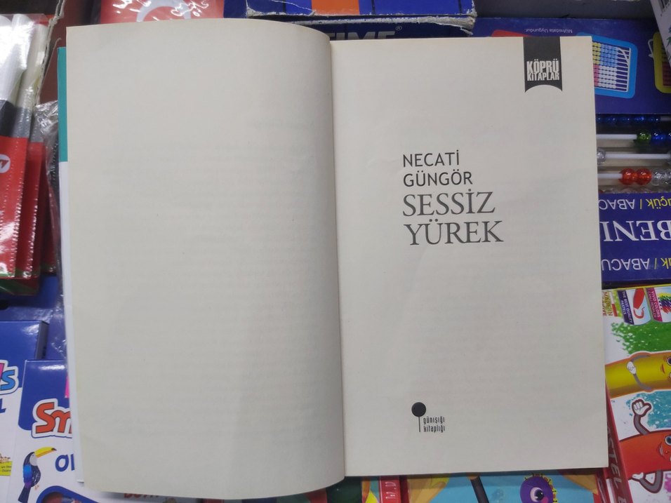 Sessiz Yürek - Necati Güngör Öykü Kitabı - Görsel 2