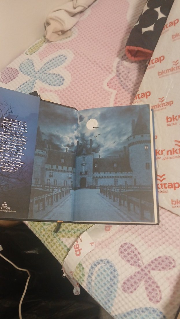 Maral Atmaca - Yaralasar Romanı + siyah kugu - Görsel 3