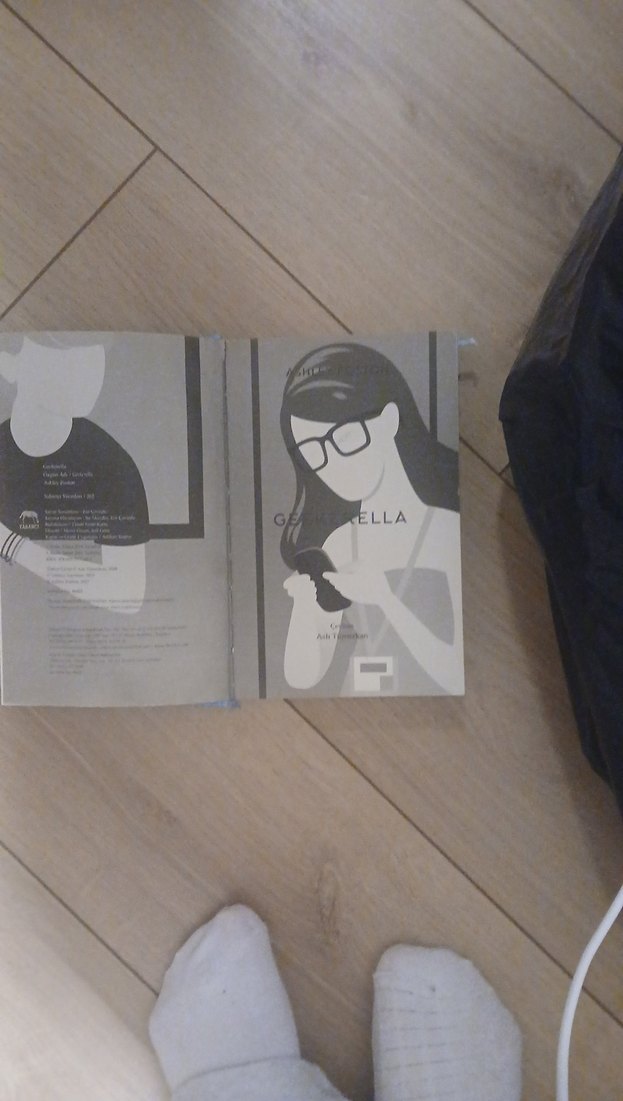 Mavi Kapaklı Roman Kitabı + sokak nöbetçileri - Görsel 2