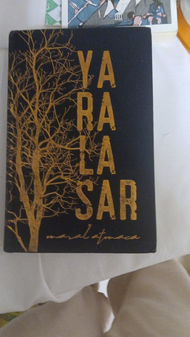 Yaralasar - Makal Atmaca - Görsel 2