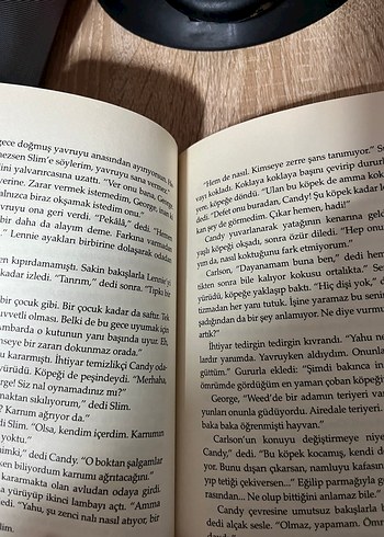 Fareler ve İnsanlar - John Steinbeck - Görsel 2