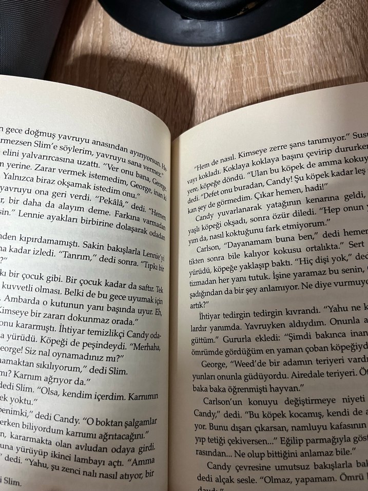 Fareler ve İnsanlar - John Steinbeck - Görsel 2