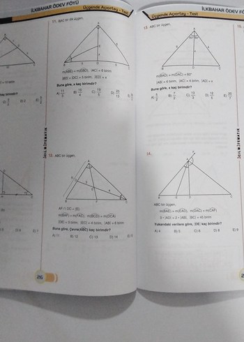 Beden Acil Matematik İlkbahar Ödev Föyü 9. Sınıf
