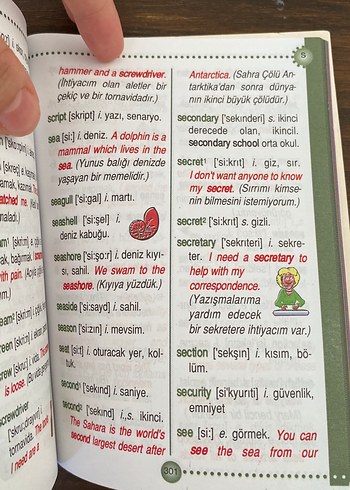 Resimli İngilizce Sözlük - Jullyet Bekar - Görsel 3